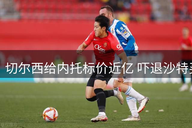 切尔西给内托标价近亿 吓退沙特买家